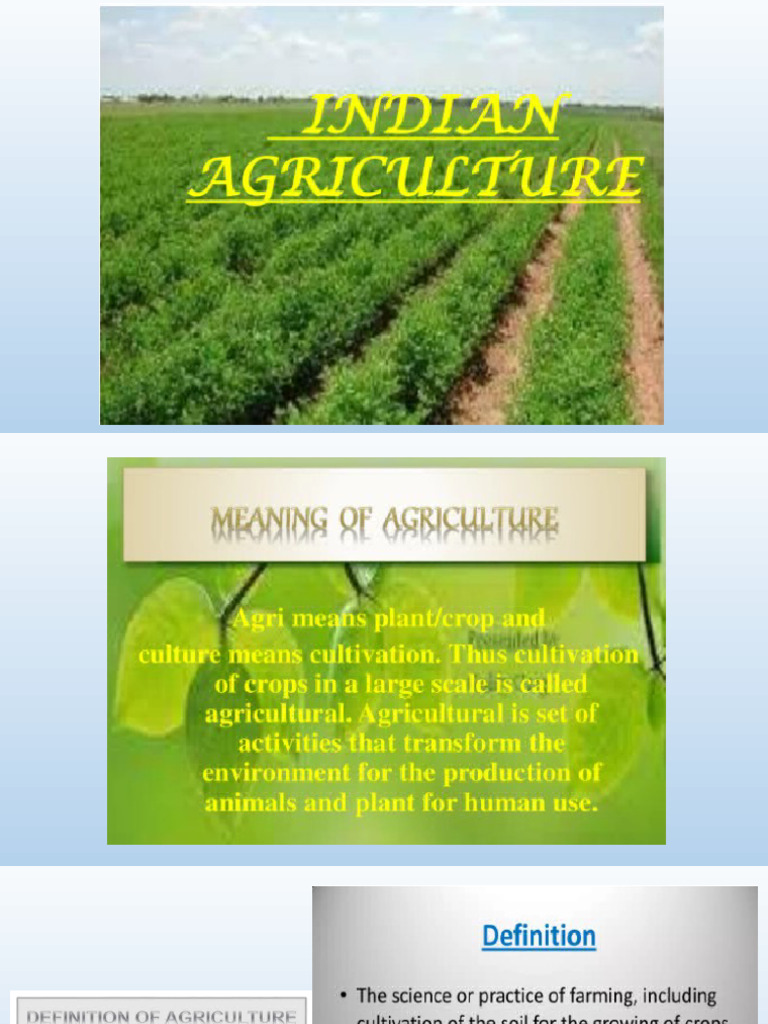 Introduction To Agriculture in INDIA | PDF | Agriculture | Intensive ...