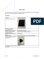 fcs208 Document Burn-Lab-Worksheet