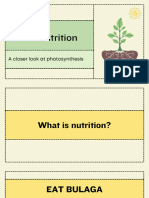 CH 6 Plant Nutrition