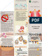 Leaflet Pneumonia