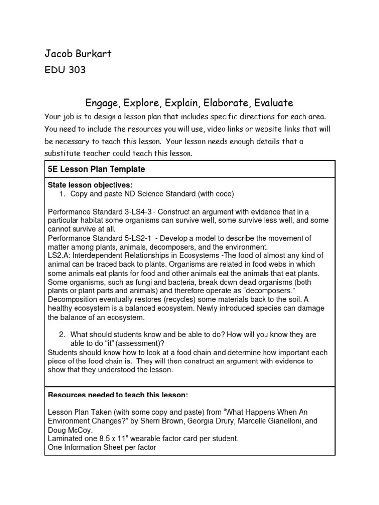 Food Chain Lesson Plan Template | PDF | Ecosystem | Earth Sciences