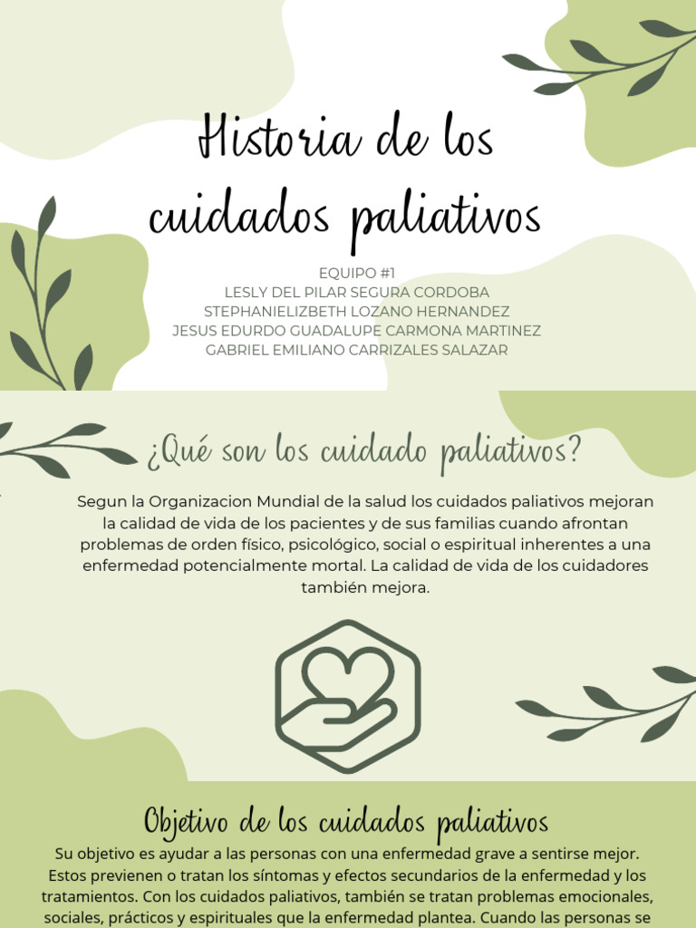 Cuidados Paliativos | PDF | Cuidados paliativos | Ciencias de la Salud