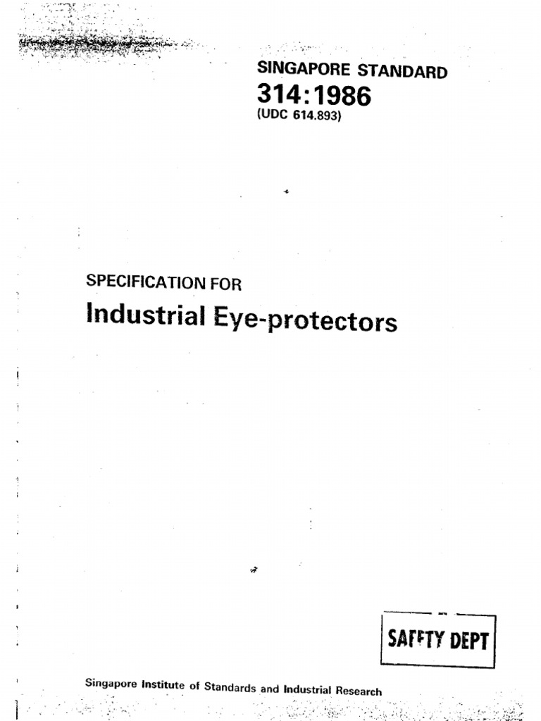 SS 314 1986 Industrial Eye Protector | PDF