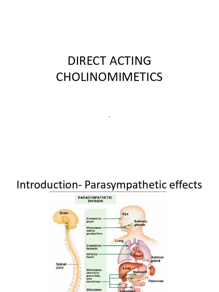 Direct Acting Cholinomimetics BSN 23 PDF Acetylcholine Physiology