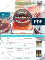 Pruebas Bioquímicas 2 - Alberto Daza