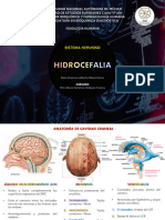 Hidrocefalia - Alberto Daza
