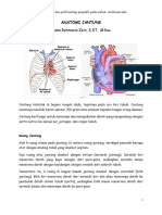 TM 12-Anatomi Jantung