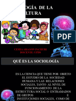 Sociologia de La Cultura Tema 6