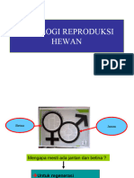 Patologi Reproduksi-1