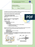 SVT - Term D - Tectonique Globale