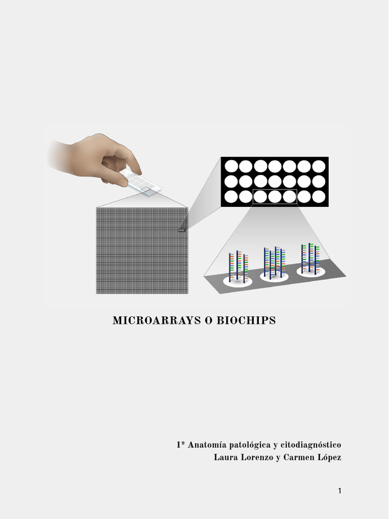 Microarrays: Fundamentos y Aplicaciones | PDF | Adn Microarray | Adn