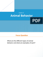 Animal Behaviour G9ADV