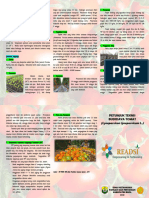 Leaflet Budidaya Tomat