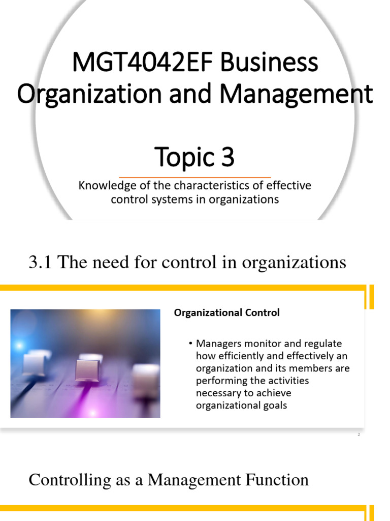 Control in Organizations | PDF | Goal | Information