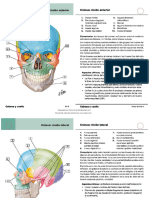 Netter Flashcards de 344666 Downloadable 4585931