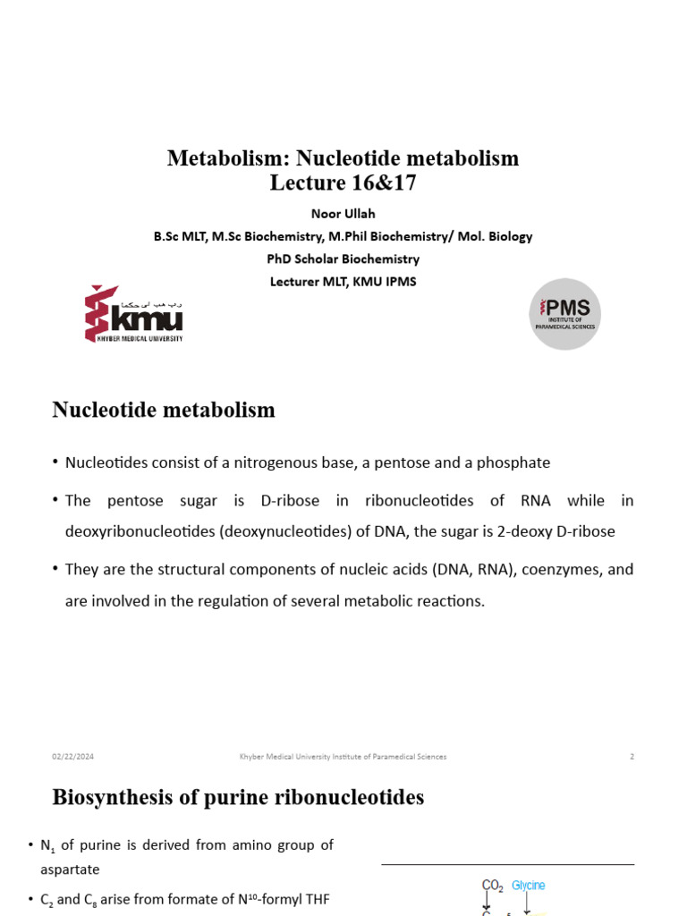 Nucleotide Metabolism Overview | PDF | Nucleotides | Biosynthesis