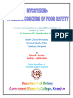 PROJECT REPORT - FOOD SAFETY Final