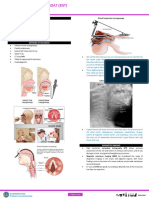 ENT - Diseases of The Larynx