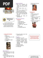 Download Leaflet Gizi Buruk by Reni Dwi Kurnia SN70760998 doc pdf