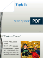 Topic 8 Team Dynamics