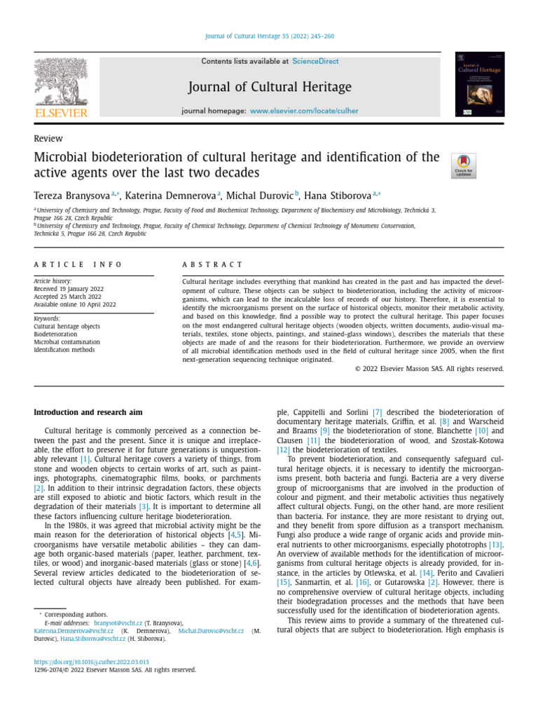 Microbial Biodeterioration in Heritage | PDF | Decomposition | Wood