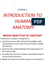 Anatomy and Physiology Lesson 1
