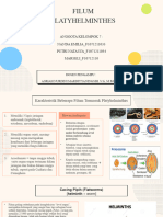 Kelompok 7 - Filum Platyhelminthes