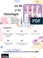 Mecanismo de Erupcion y Su Histología