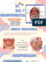 Región Sublingual y Gingivodental