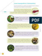 Nodos Naturales Federal 6