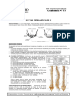 Práctica de Sistema OsteoArticular #5