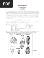 Download Zooplanktons by api-3803371 SN7076389 doc pdf