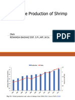 Sustainability Shrimp Aquaculture