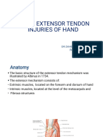 Notes On Acute Extensor Tendon Injury