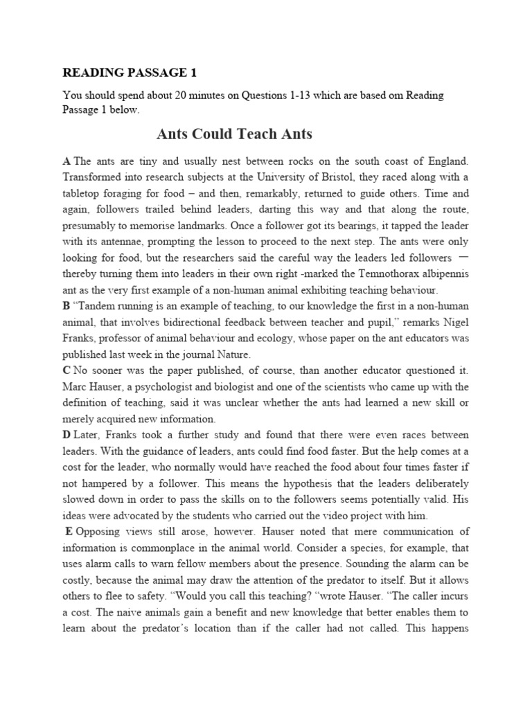 Ants Could Teach Ants