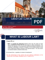 Lecture 1 Introduction To Labour Law