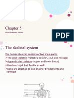 Musculoskeletal System