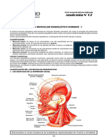 Práctica de Sistema Muscular #6