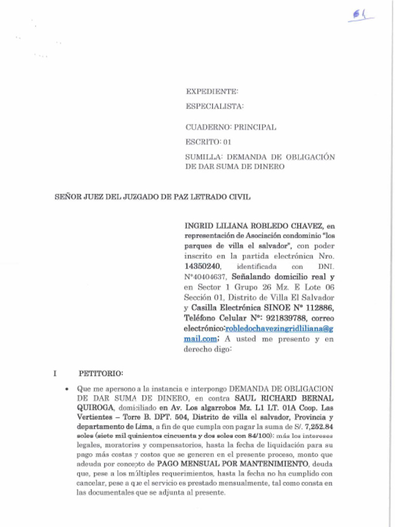 Modelo Dda Odsd Sumarisimo Pago de Mantenimiento | PDF