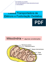 CTE e Fosf Oxidativa