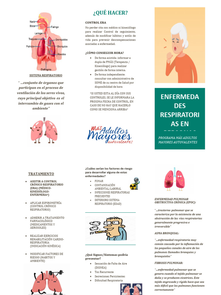 Enfermedades Respiratorias Triptico | PDF | Enfermedad pulmonar ...