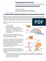 Fisiologia Digestiva de Los Lactantes