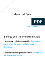 Menstrual Cycle