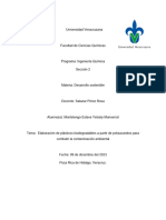 Ensayo Contaminación