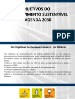 Apresentao ODS PDF