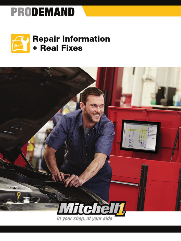 Pro Demand | Download Free PDF | Medical Diagnosis | Auto Mechanic