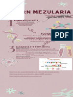 ARN Mezularia
