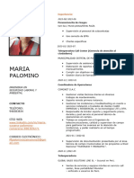 Curriculum Vitae Doc - María Palomino