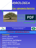 Aula 2dendrologia