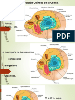 Celula Fundamentos Quimicos ...
